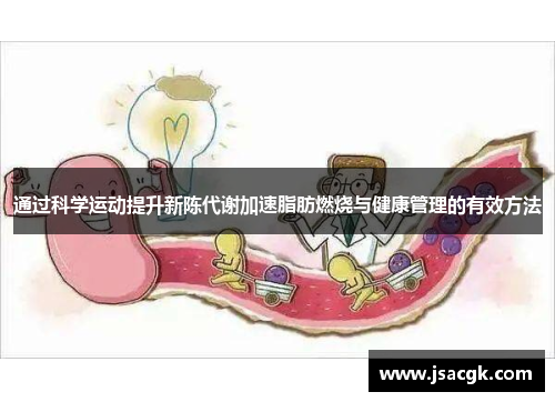 通过科学运动提升新陈代谢加速脂肪燃烧与健康管理的有效方法