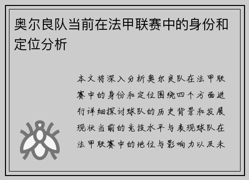 奥尔良队当前在法甲联赛中的身份和定位分析